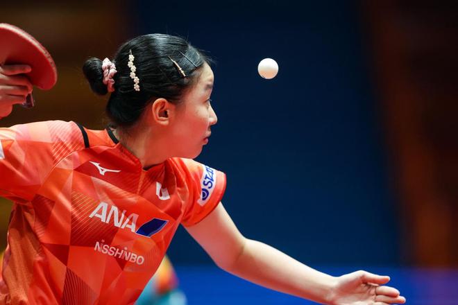 供了清晰的 供了清晰的