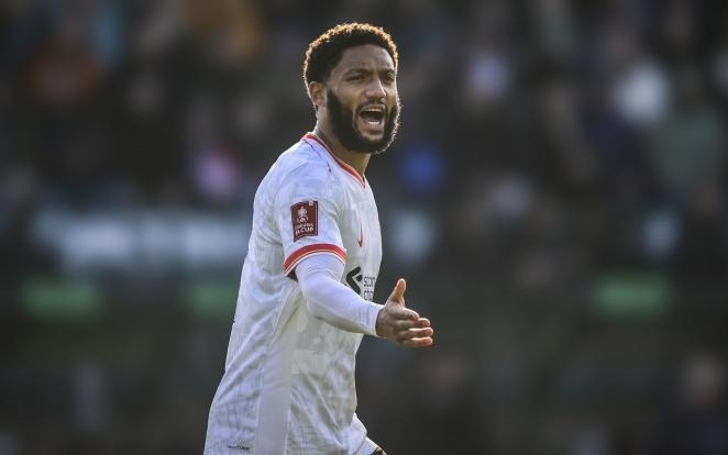 后卫之间的 后卫之间的